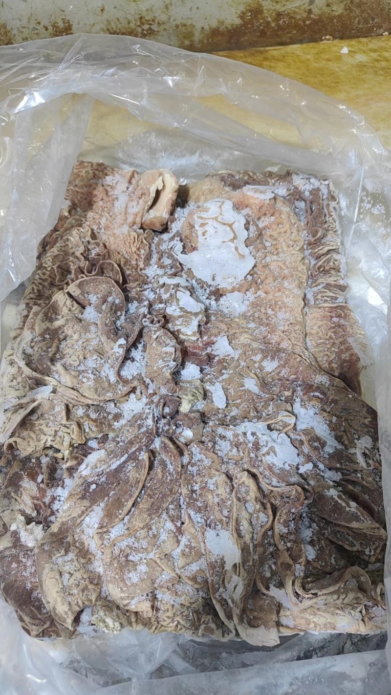 牛散肚一手货源全国发货常年供应可是看货