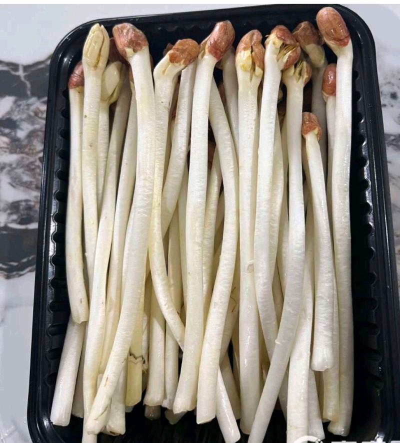 优质花生芽货量充足，发往全国各地，量大从优