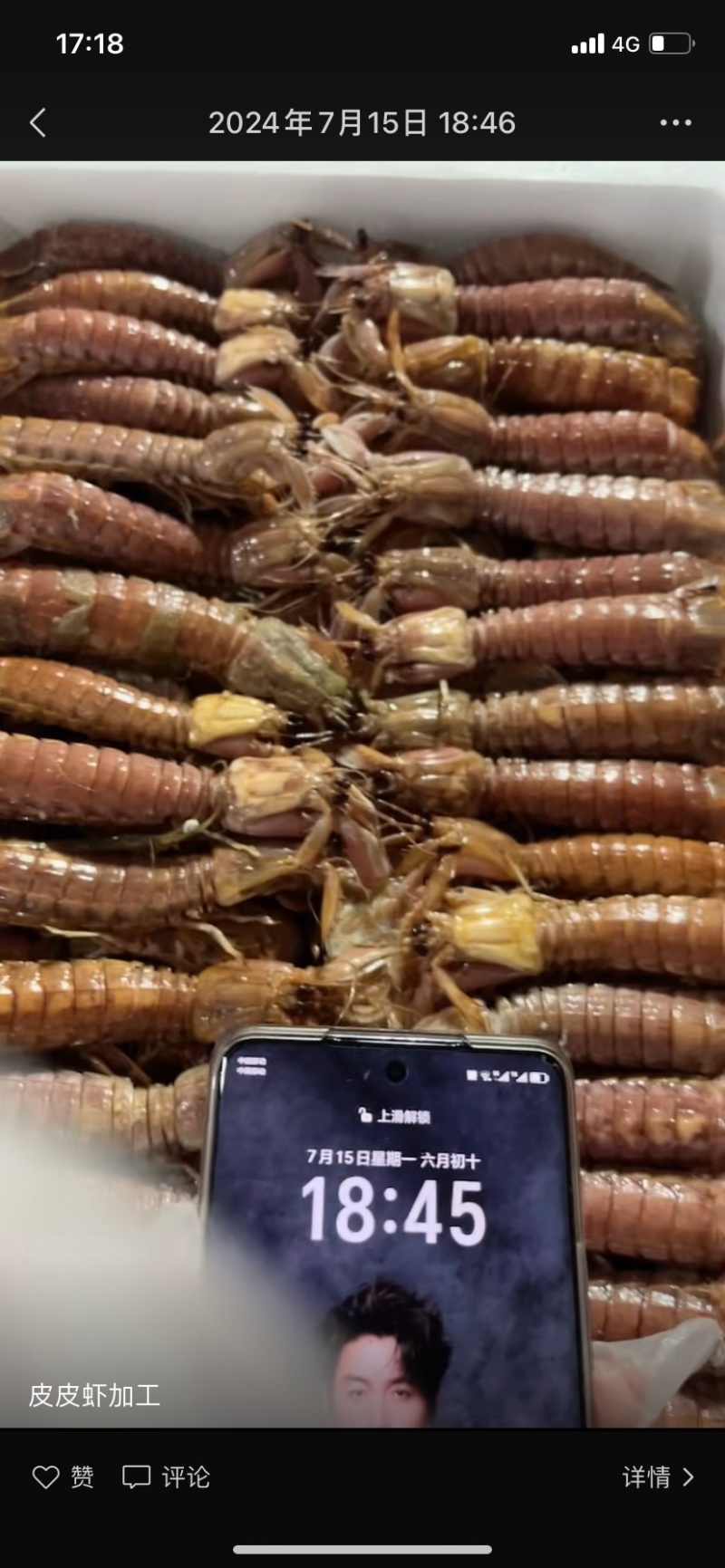 皮皮虾，连云港，一件代发一件代发一件代发，皮皮虾皮皮