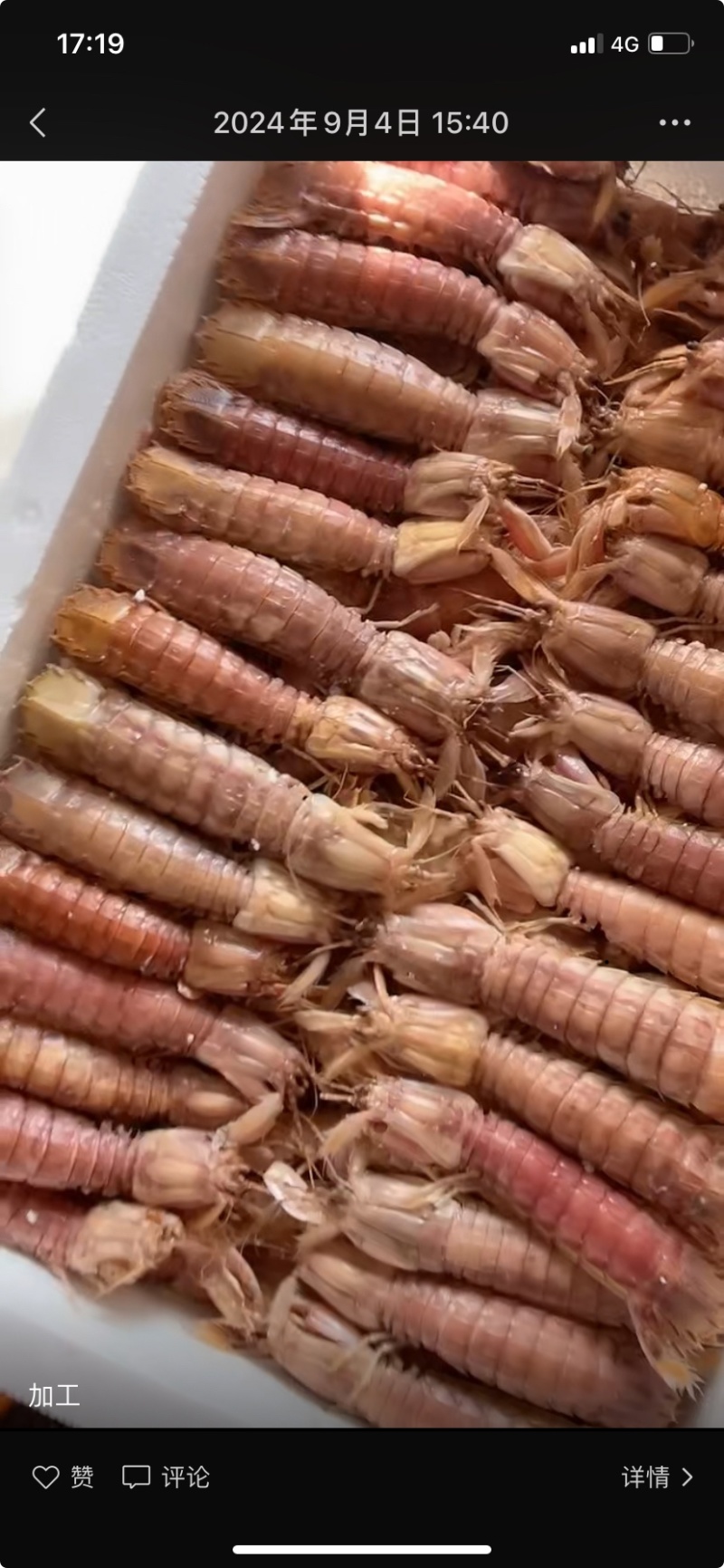 皮皮虾，一件代发，连云港，一件代发，皮皮虾，皮皮虾
