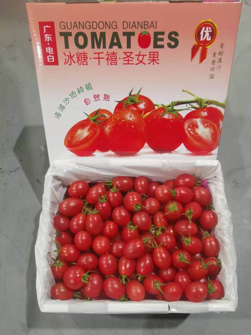 【实力】广东圣女果大量上市对接全国市场商超质量保证