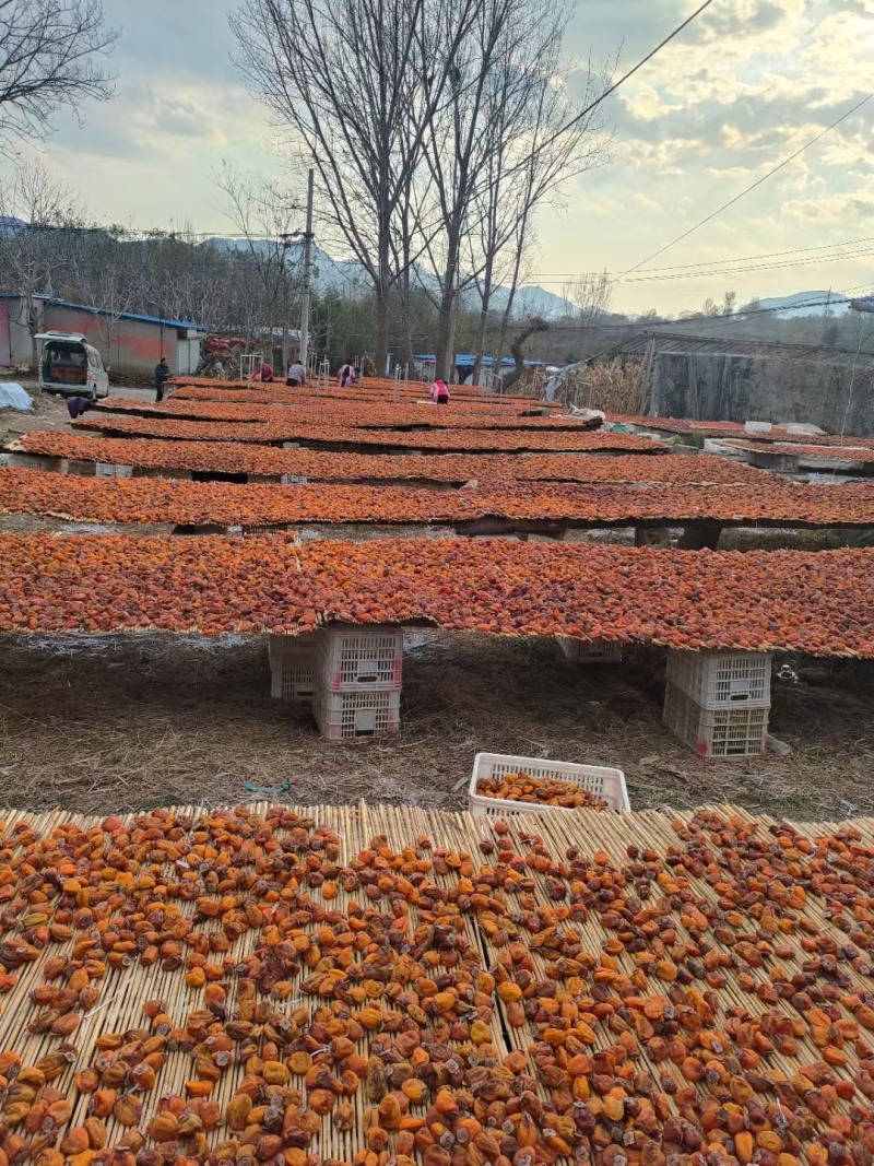山东吊柿饼青州吊柿饼临朐吊柿饼大量供应中