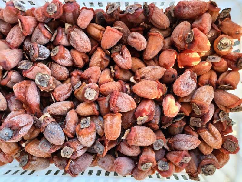 山东吊柿饼青州吊柿饼临朐吊柿饼大量供应中