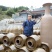 土陶产品：泡菜坛、酒坛、缸钵，远销国内和东南亚，名扬海外