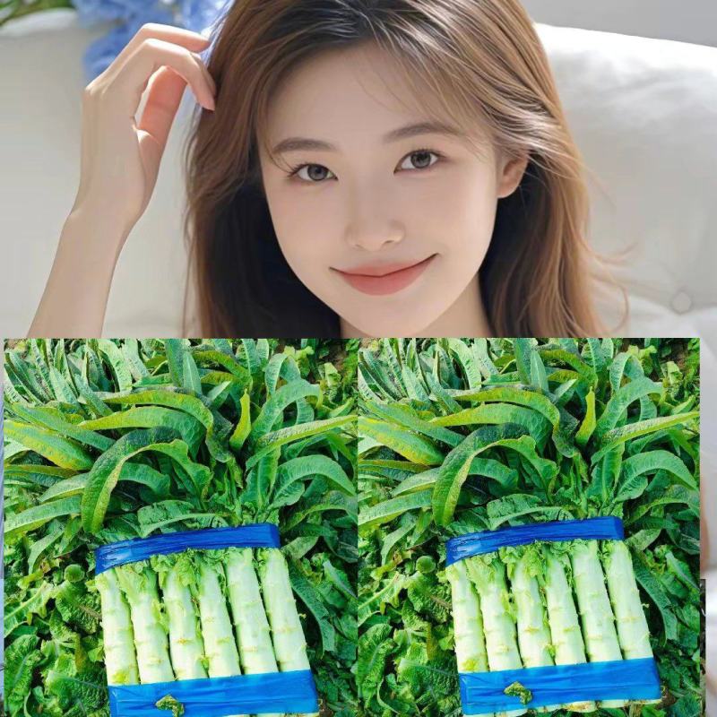 红叶莴苣丨宿州莴笋丨杆子一一一一丨价格便宜丨一一质量好