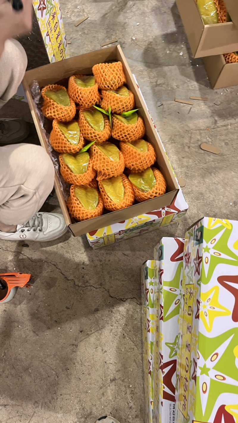 杨桃规格很多，价格也相差很多，需要的老板前来咨询