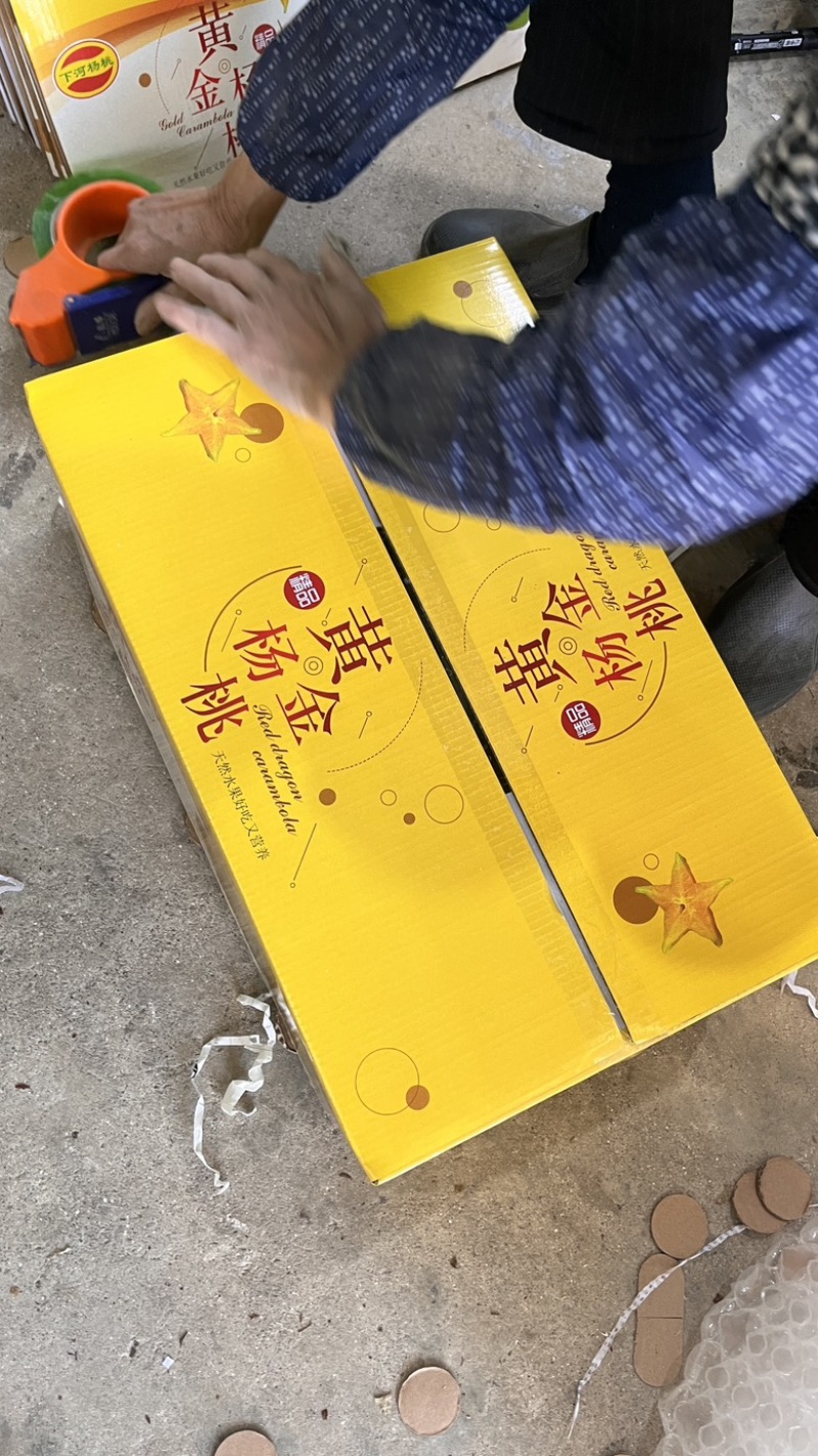 杨桃规格很多，价格也相差很多，需要的老板前来咨询