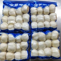 【兰州甜百合】产地直发，质量保证！可看视频！规格齐全！