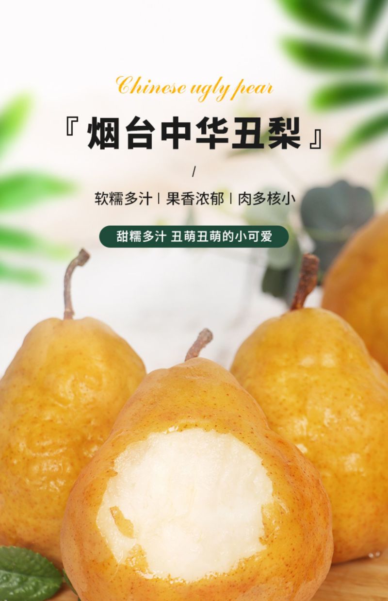 山东莱阳中华丑梨软糯香甜对接电商各大平台支持一件代发批发