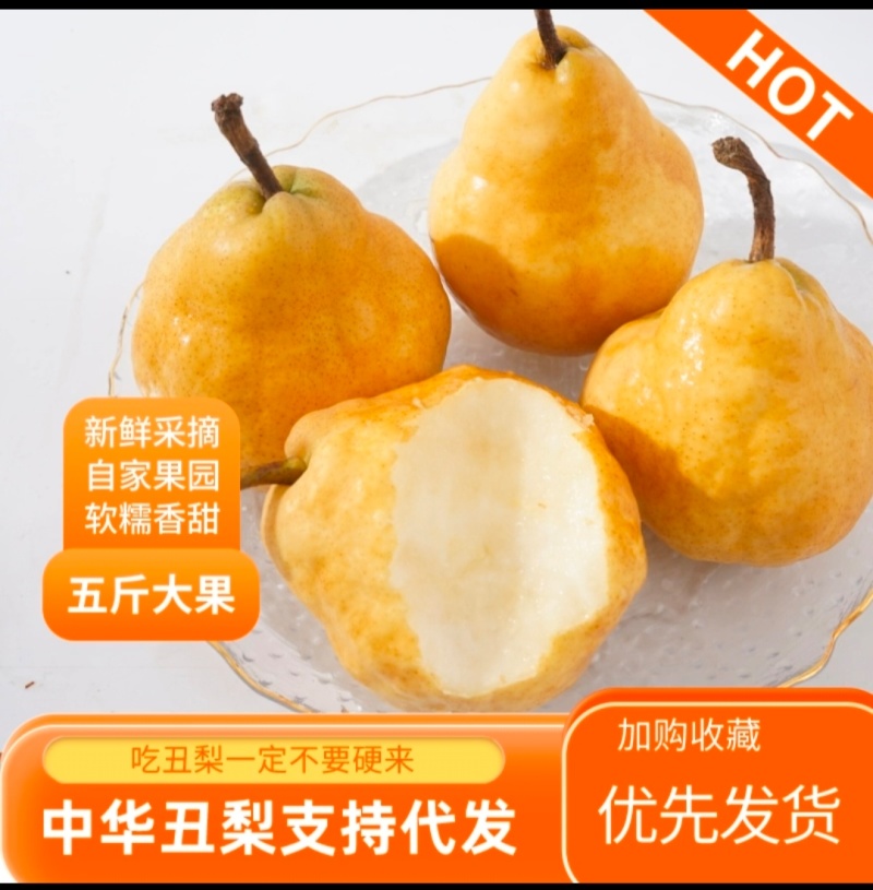 山东莱阳中华丑梨软糯香甜对接电商各大平台支持一件代发批发