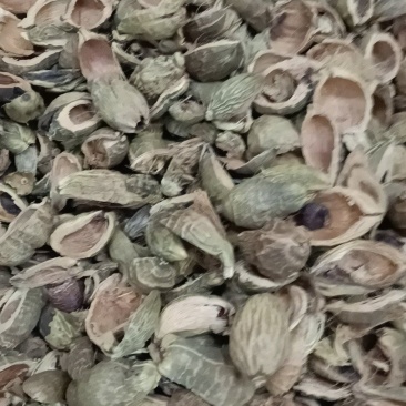大腹皮各种中药材冷背药材，名贵药材，代加工打粉压片制丸