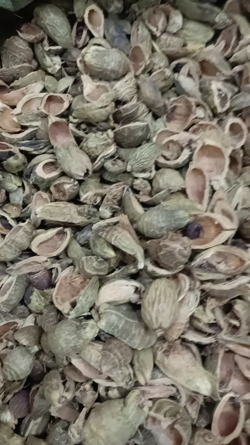 大腹皮各种中药材冷背药材，名贵药材，代加工打粉压片制丸