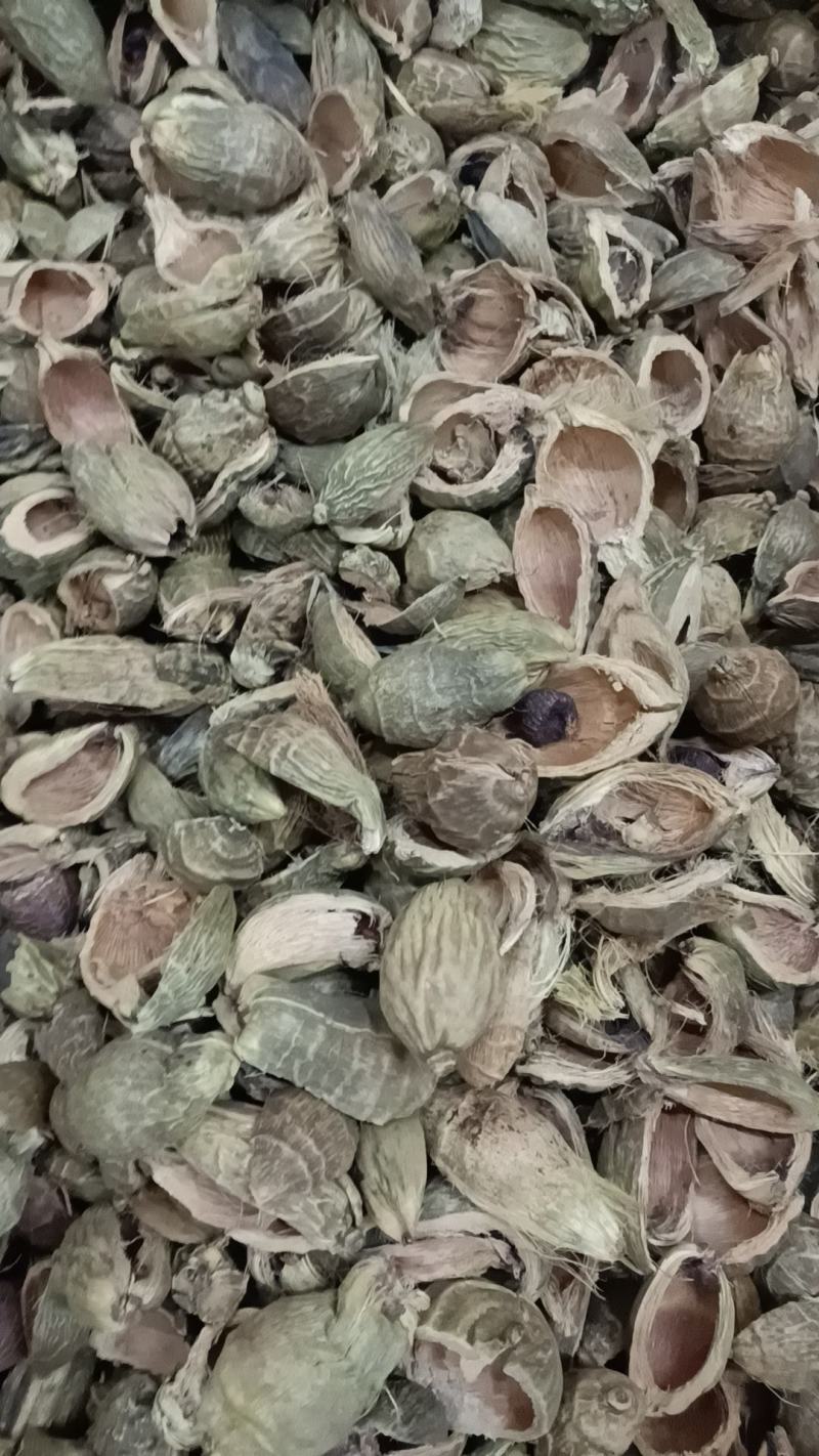 大腹皮各种中药材冷背药材，名贵药材，代加工打粉压片制丸