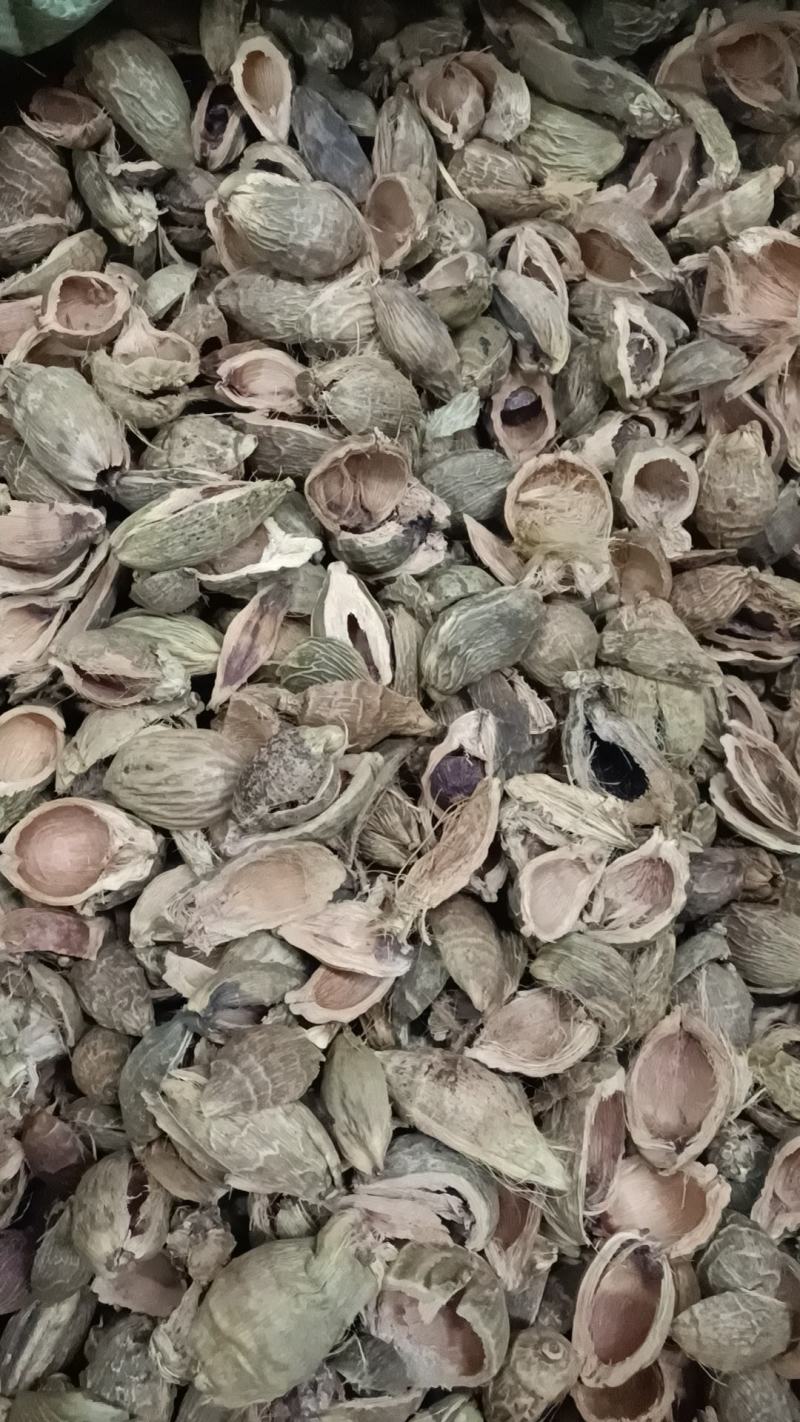 大腹皮各种中药材冷背药材，名贵药材，代加工打粉压片制丸