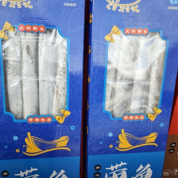 天窗礼盒带鱼，新货到家，冰少，6斤左右一手货源，薄利多销