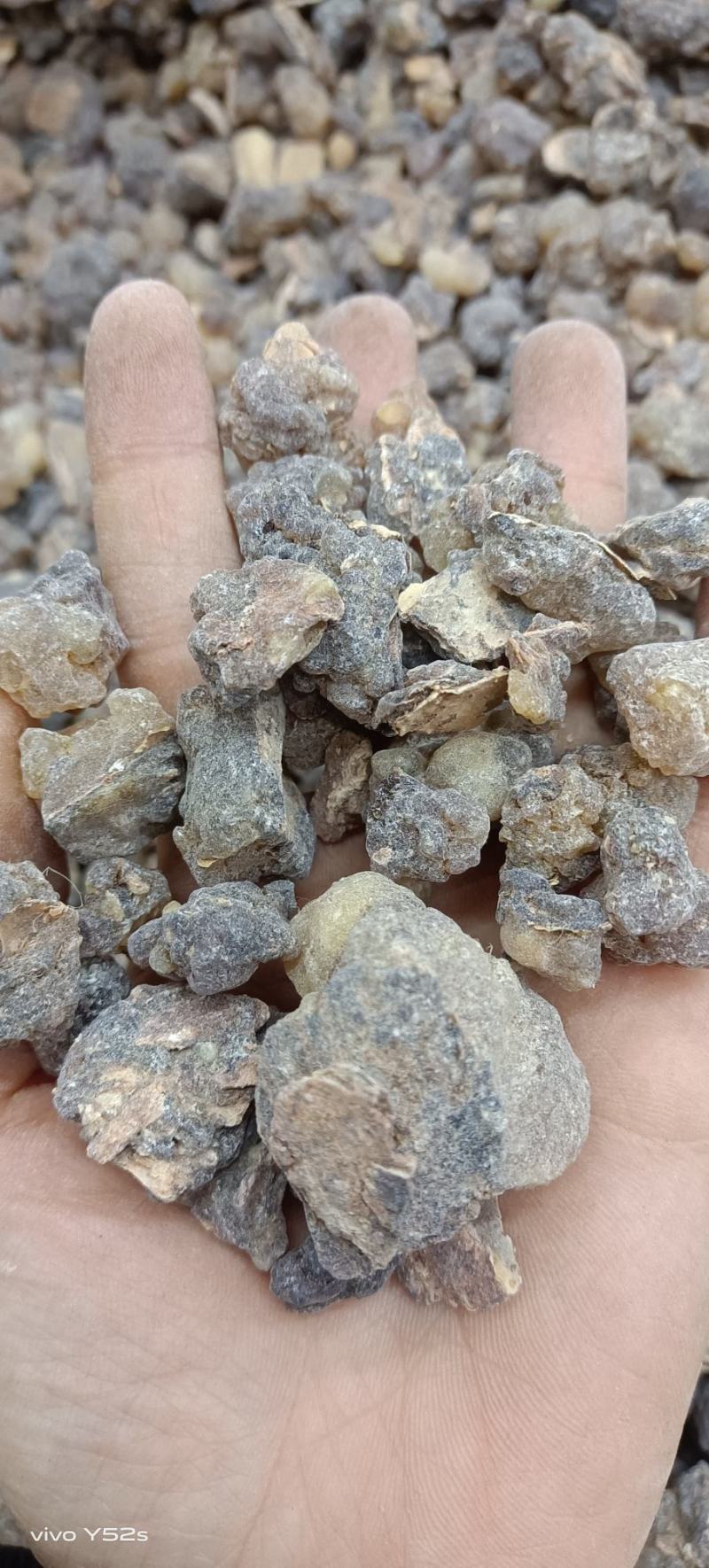 乳香专营各类中草药零售批发做中药我们只做正品