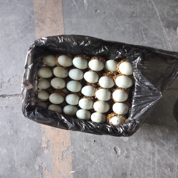 精品半包泥松花蛋