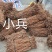 野生小叶千斤拔鲜货少量供应