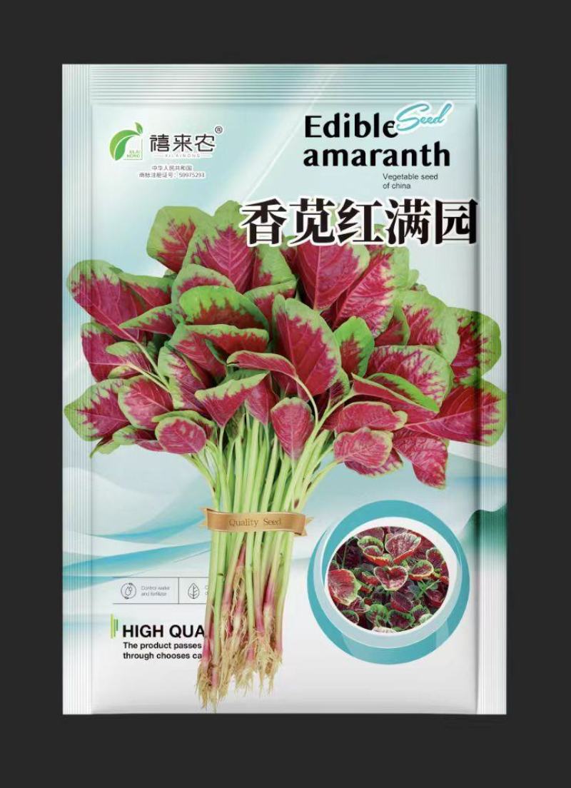 红苋菜种子早熟叶片近圆形生长期30-40天左右耐热较耐寒