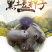 山东黑土豆种子带芽脱毒高产量高存活基地直发全国发货