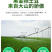 山东黑土豆种子带芽脱毒高产量高存活基地直发全国发货