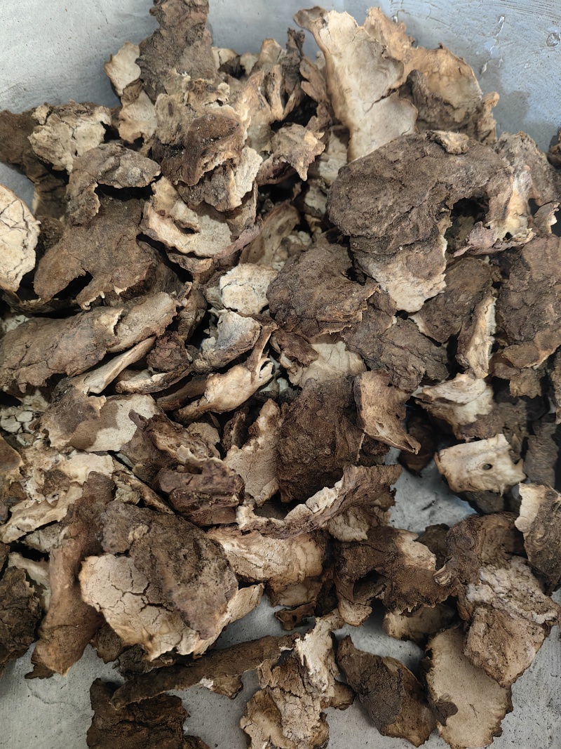 茯苓皮优质无硫茯苓皮干净除尘云苓皮产地直发一手货源