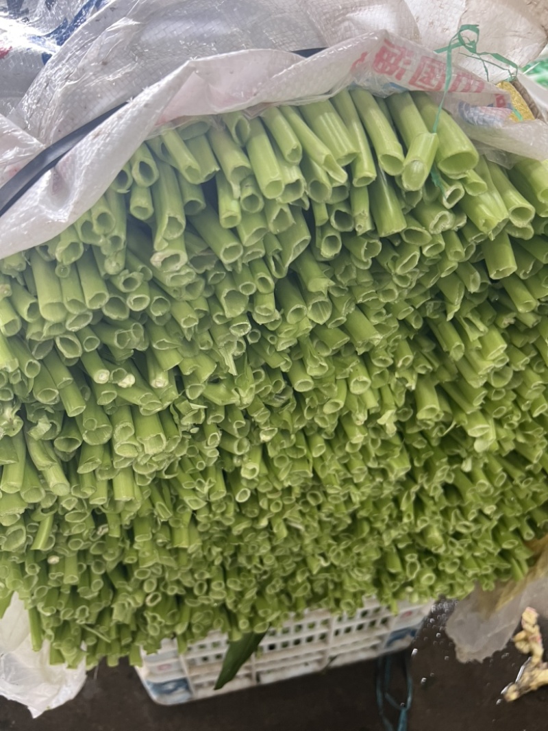 大叶片粗杆空心菜