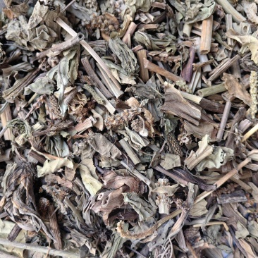 车前草颜色青优质无硫除尘牛舌草产地直销一手货源