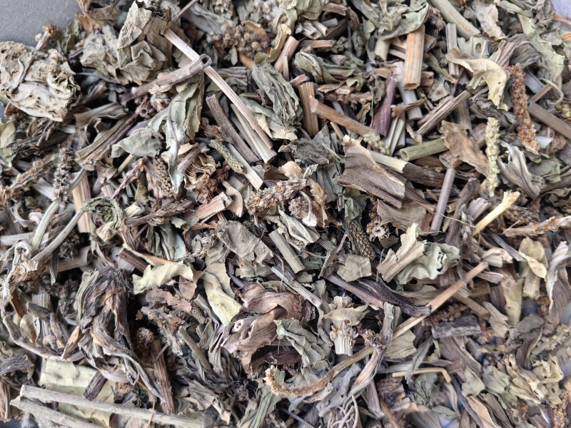 车前草颜色青优质无硫除尘牛舌草产地直销一手货源