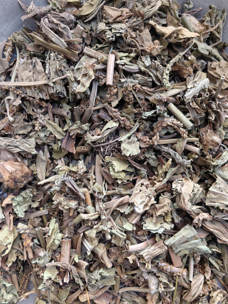 车前草颜色青优质无硫除尘牛舌草产地直销一手货源