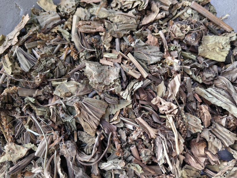 车前草颜色青优质无硫除尘牛舌草产地直销一手货源