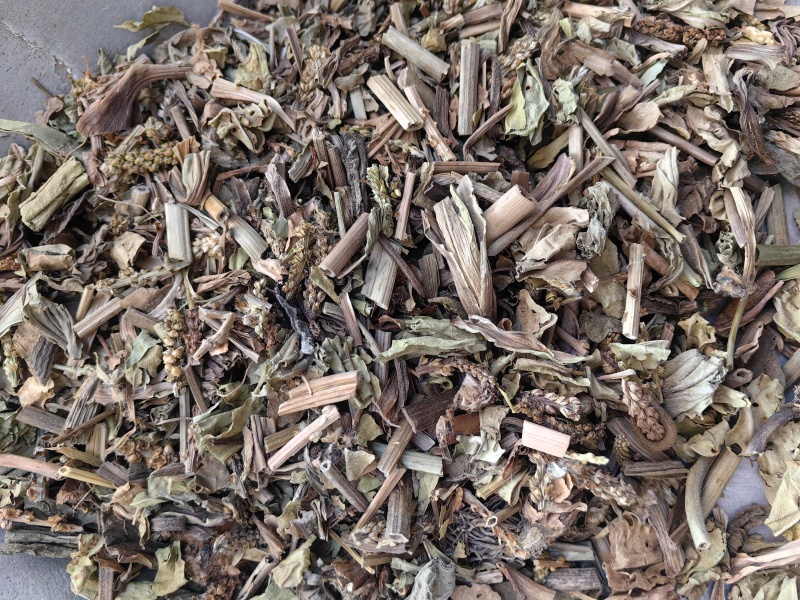 车前草颜色青优质无硫除尘牛舌草产地直销一手货源
