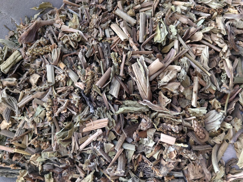 车前草颜色青优质无硫除尘牛舌草产地直销一手货源