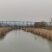 黄河边有400亩水面出租