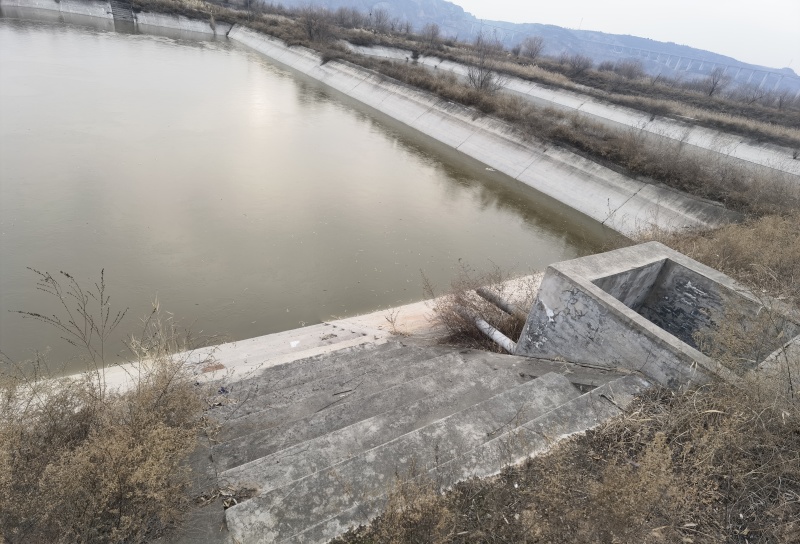 黄河边有400亩水面出租