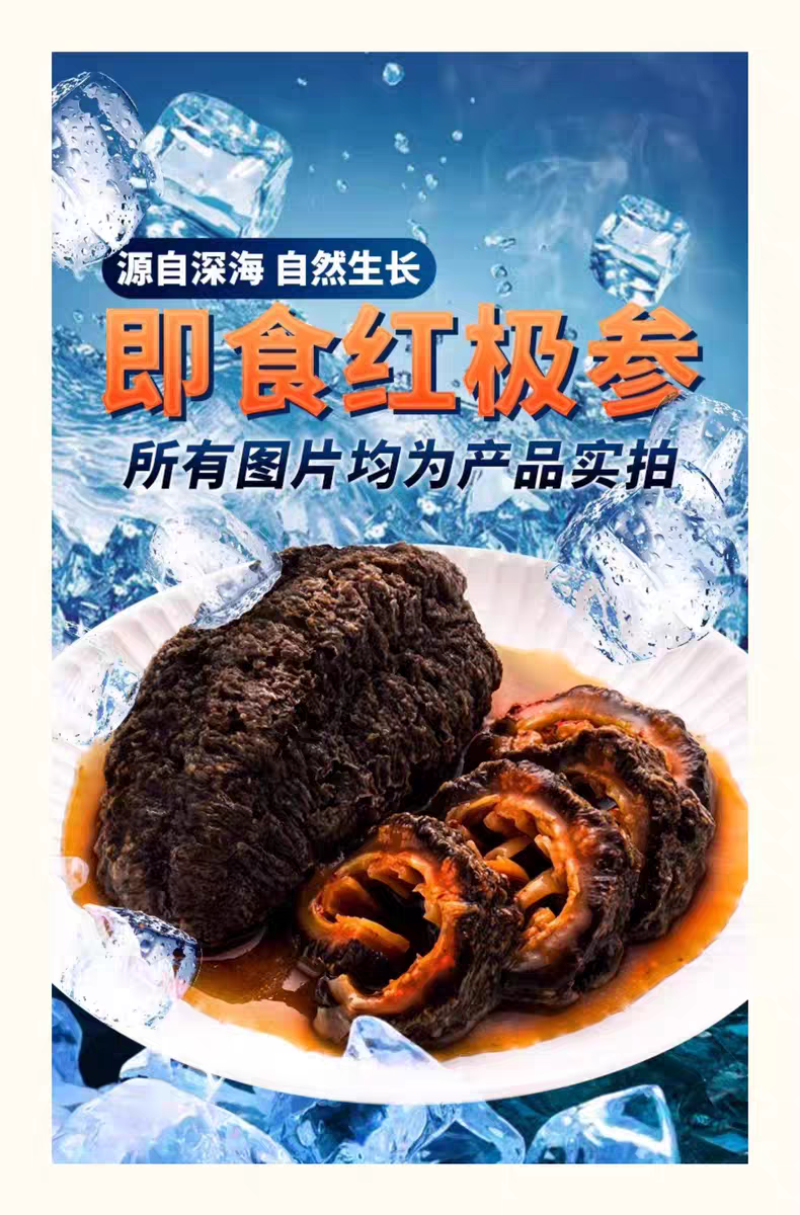 烟台蓬莱红极参水产软体类海参直供高品质营养食材可追溯