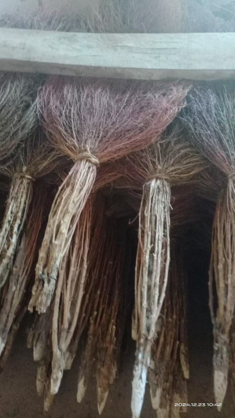 老式天然铁扫把植物草不粘毛家用扫地扫把环卫大扫帚庭院户外