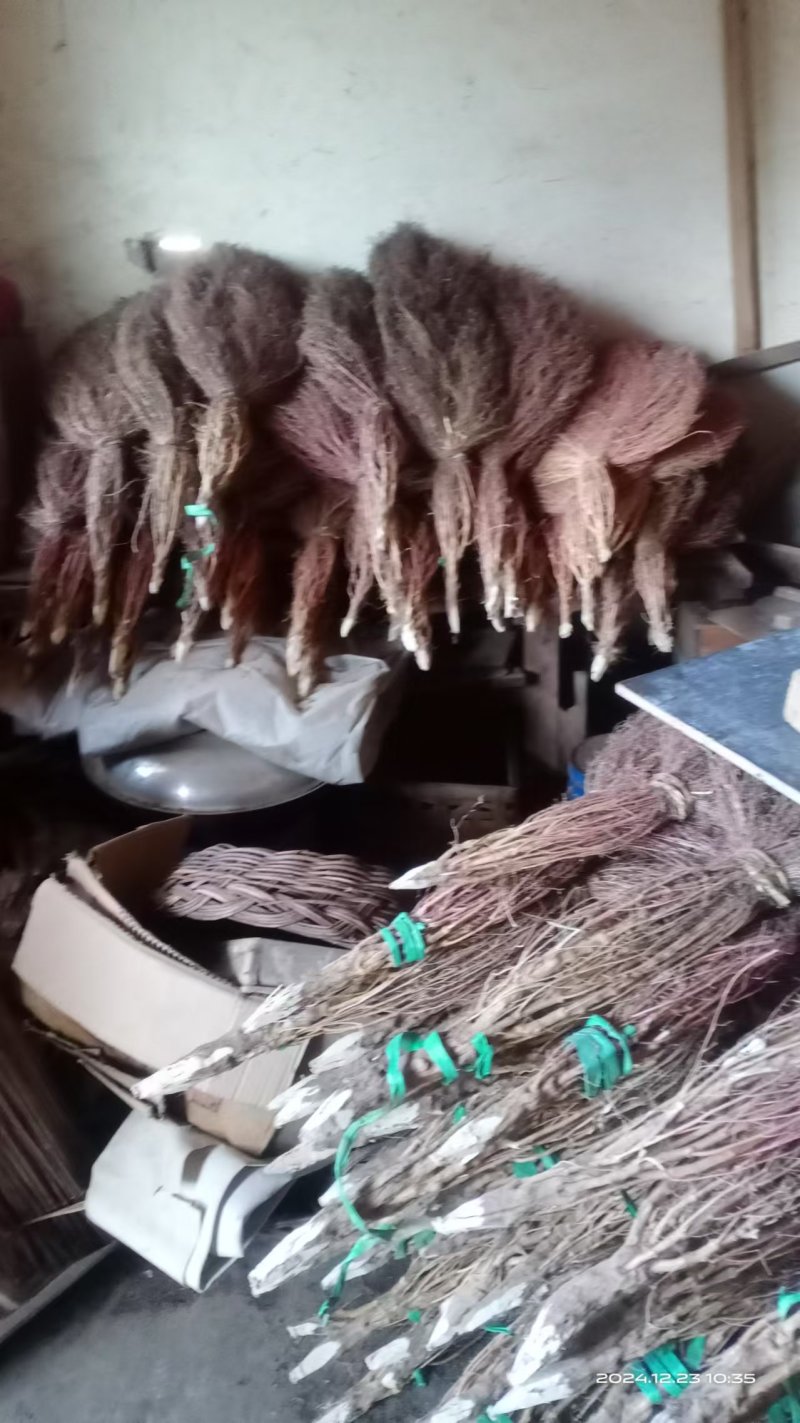老式天然铁扫把植物草不粘毛家用扫地扫把环卫大扫帚庭院户外