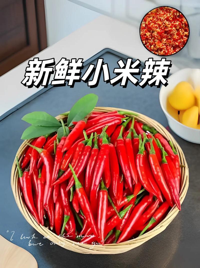 小米椒批发
