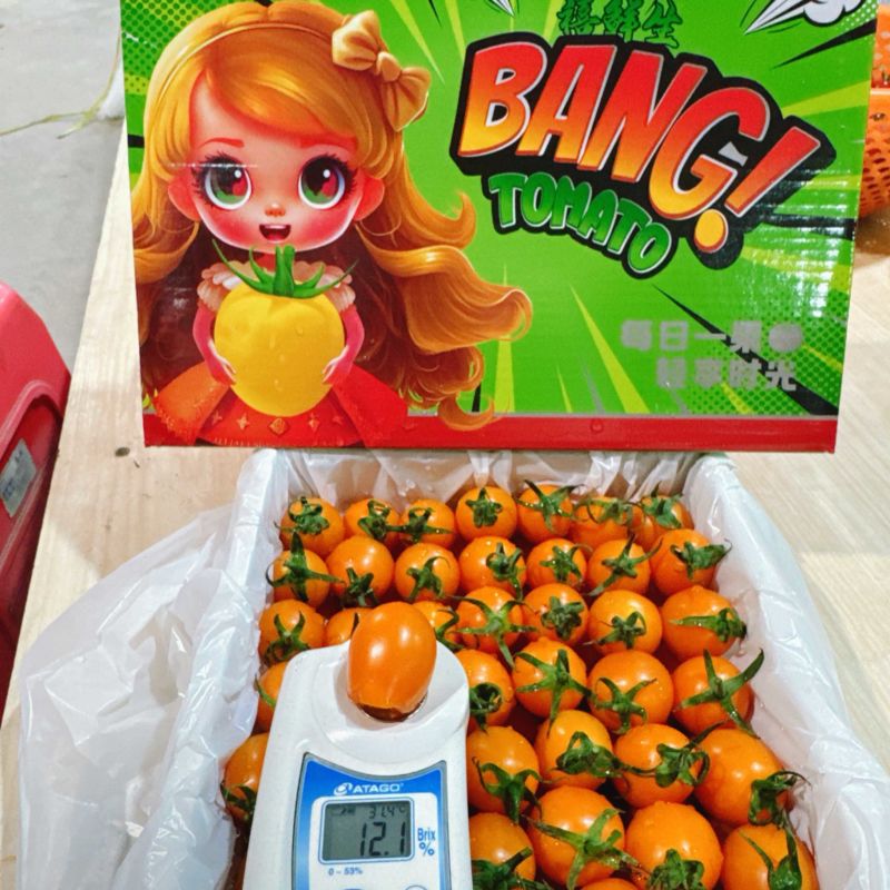 电白千禧专业对接超市，电商供货B2B一件代发