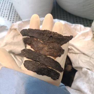 肉苁蓉大云中药材无添加泡茶泡酒保质保量