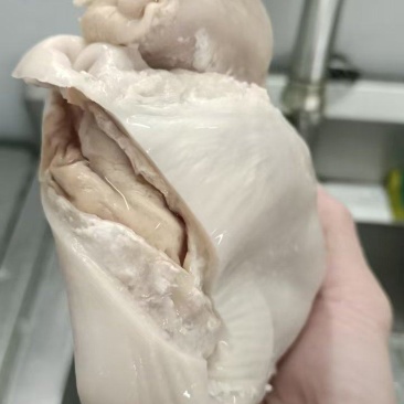全熟猪肚