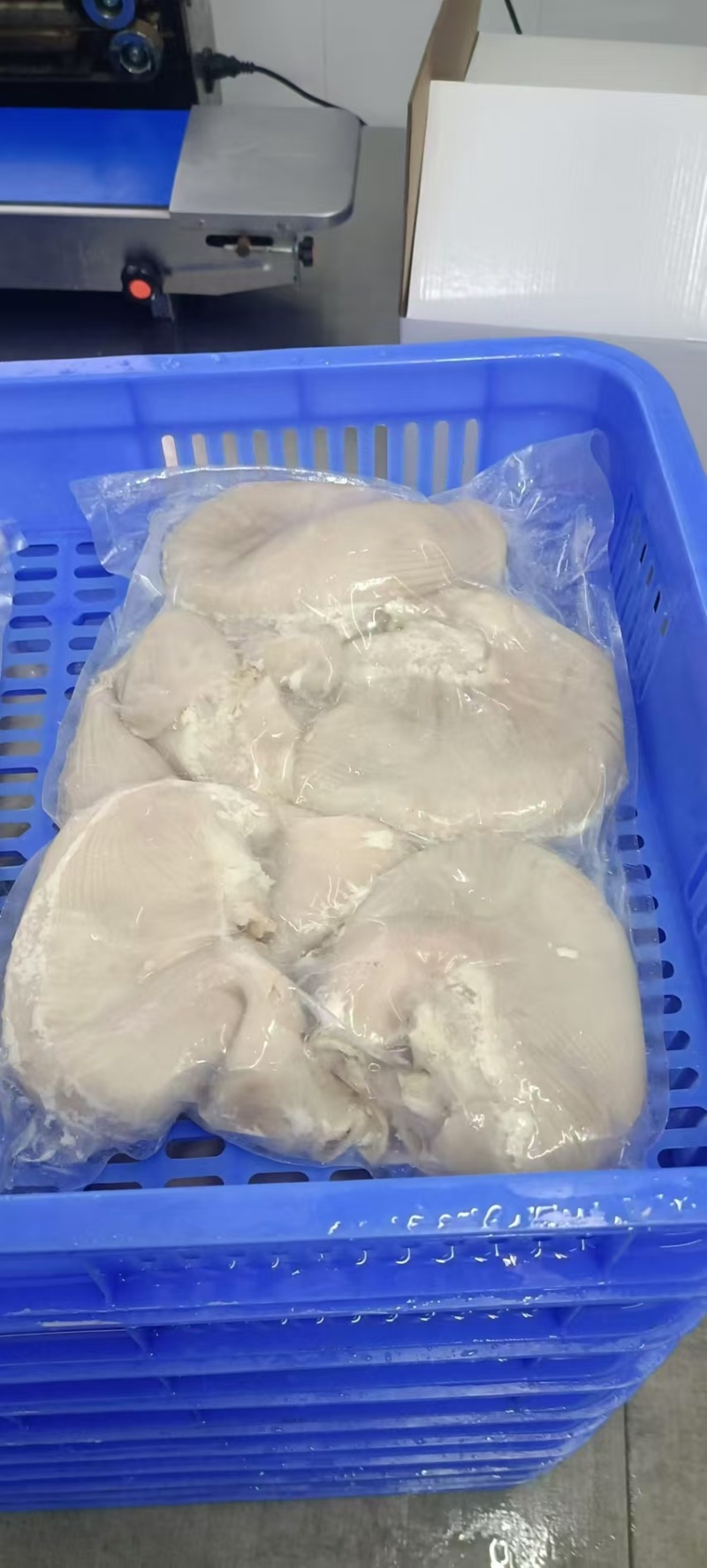 全熟猪肚