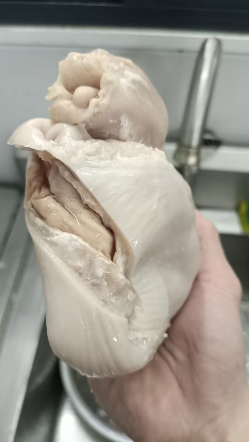全熟猪肚