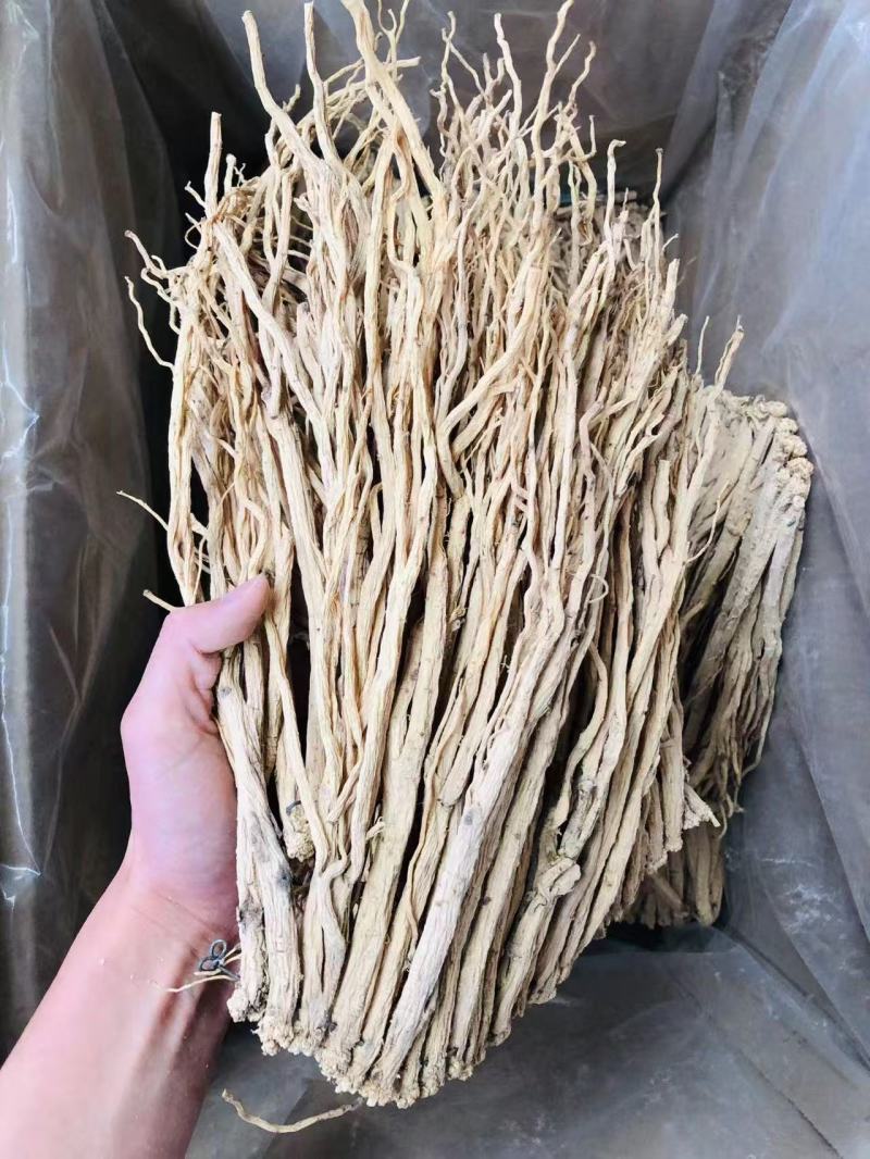 精品党参规格齐全质量保证价格优惠