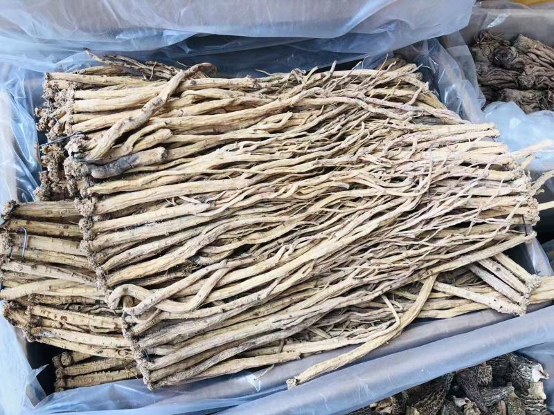 精品党参规格齐全质量保证价格优惠