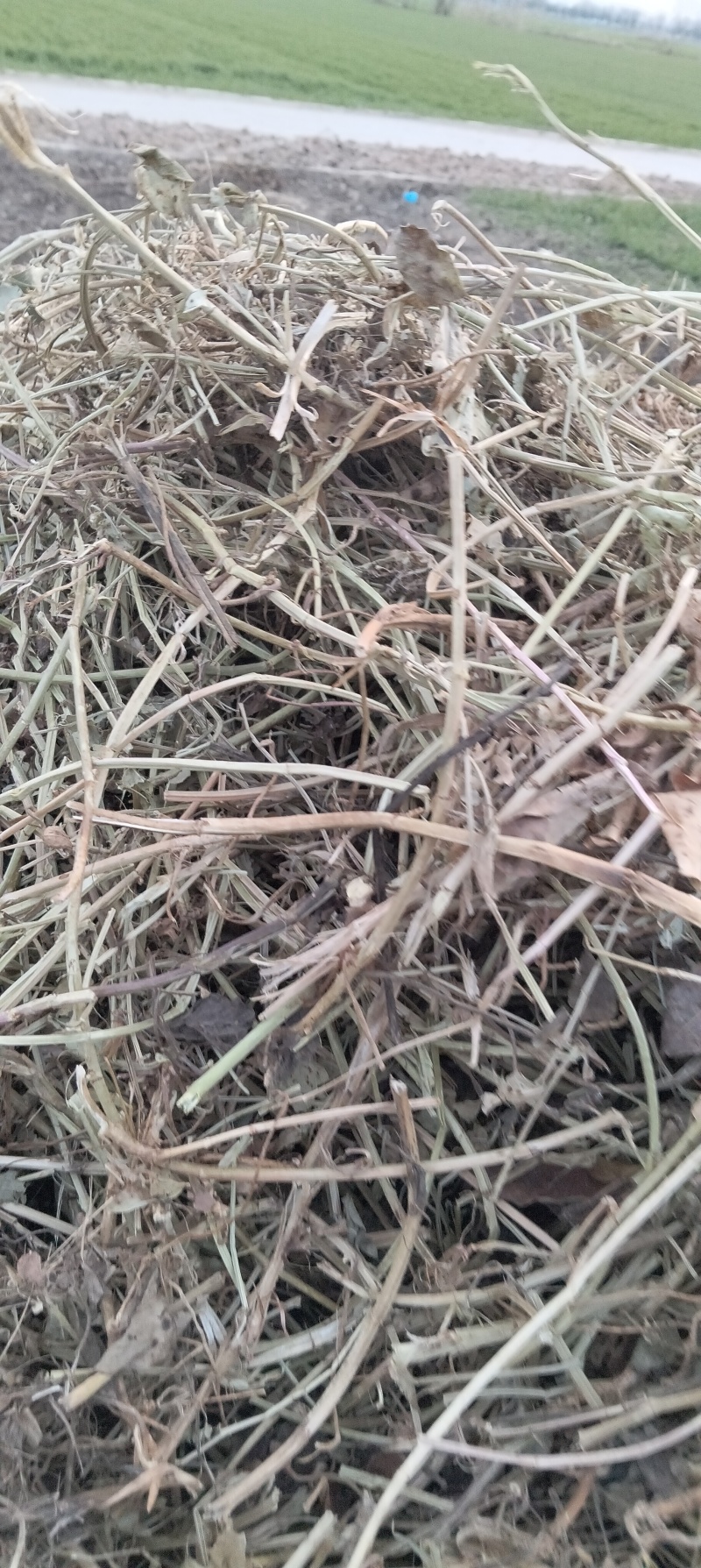 牛羊草料花生秧出售，无霉变
