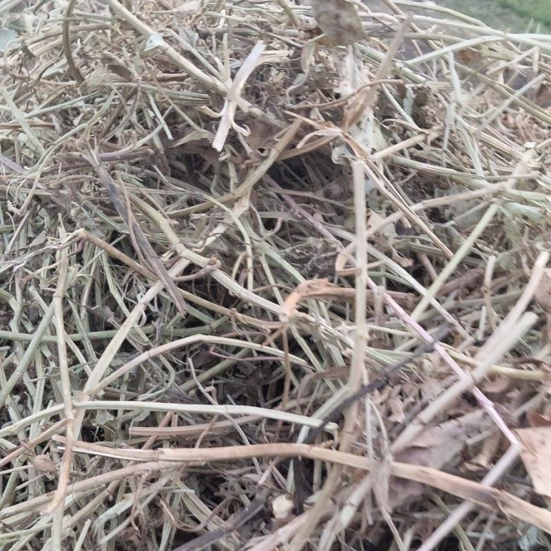 牛羊草料花生秧出售，无霉变