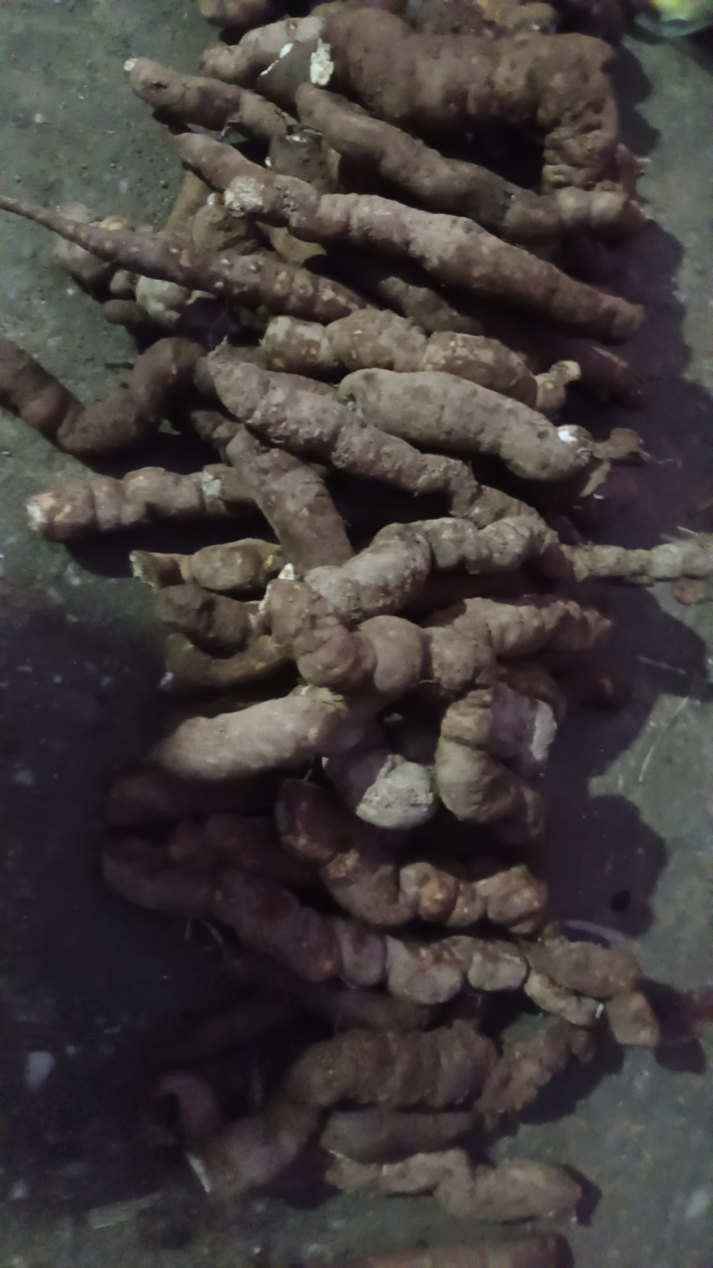 粉防几，每天500/1000斤野生鲜货