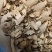 水菖蒲中药材无硫无添加干货保质保量